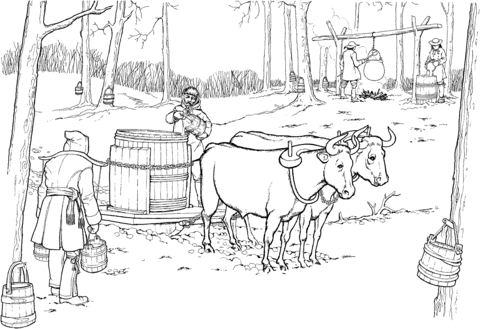 Oxen Pulling Sled With Maple Syrup Barrel Coloring Page